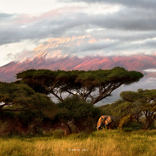 SAFARI KENYA 500