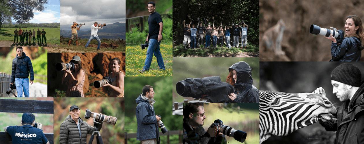 Workshops 9 Testimonials