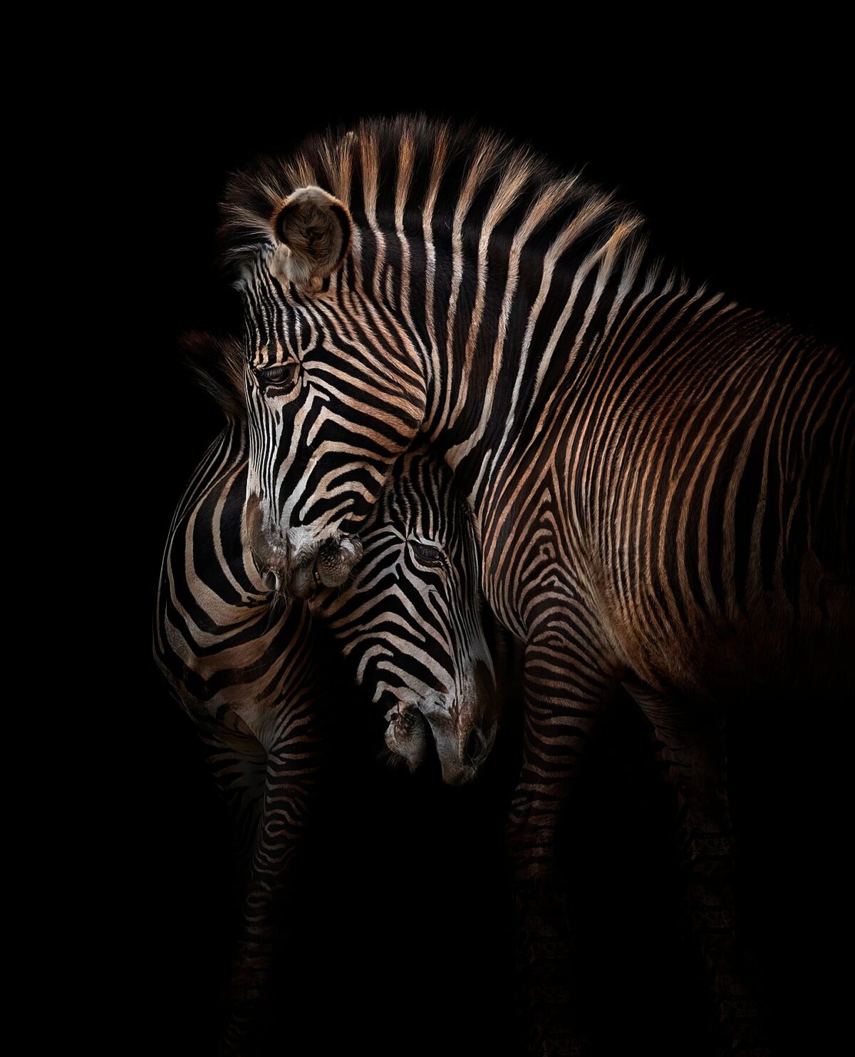 NEARNESS