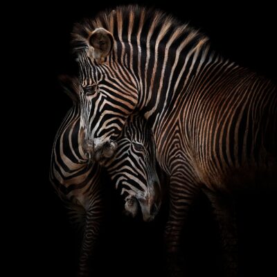 NEARNESS