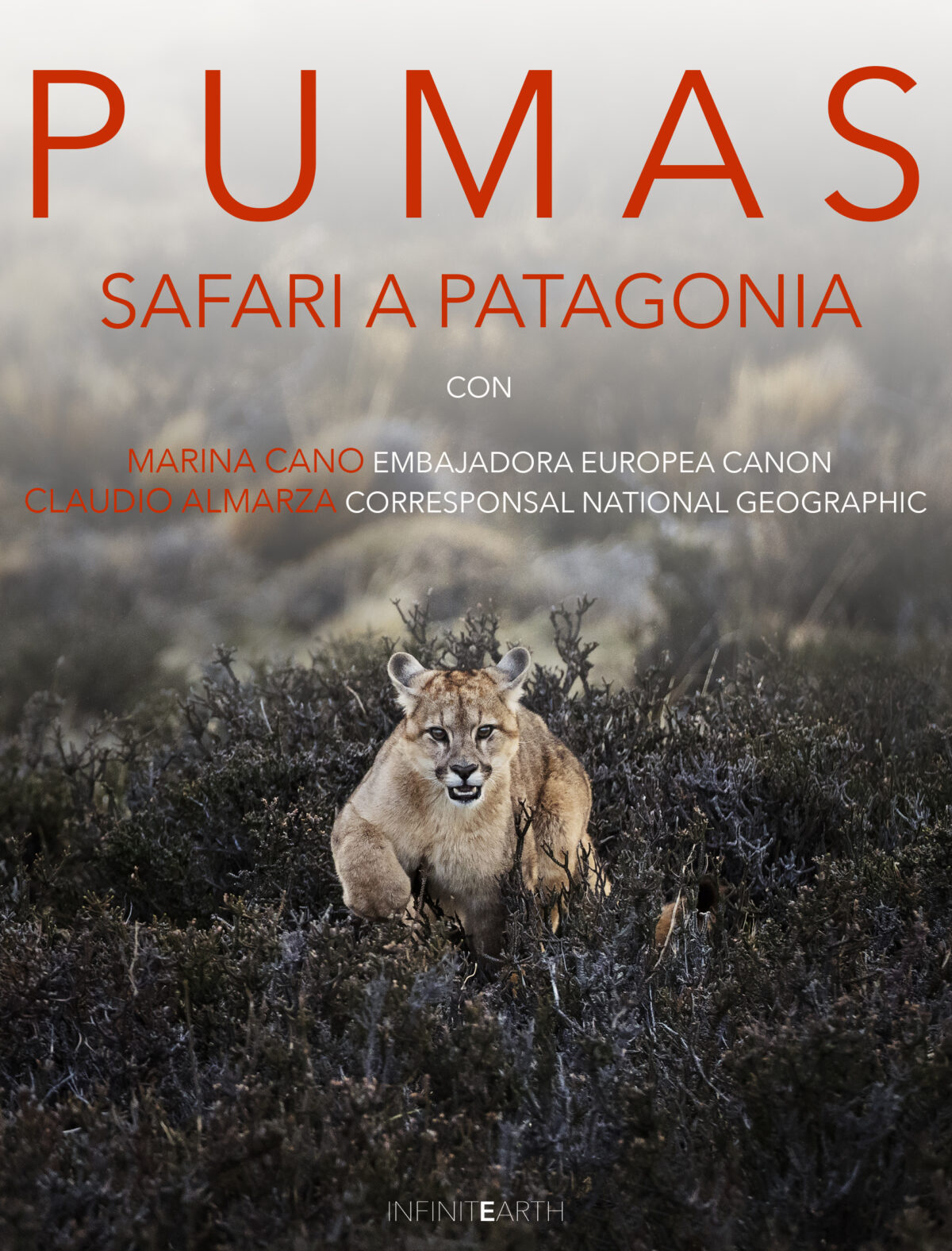 RESERVA - Viaje al fin del mundo: la tierra del puma - Imagen 2