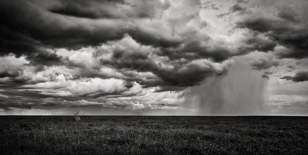 EL CIELO PROTECTOR