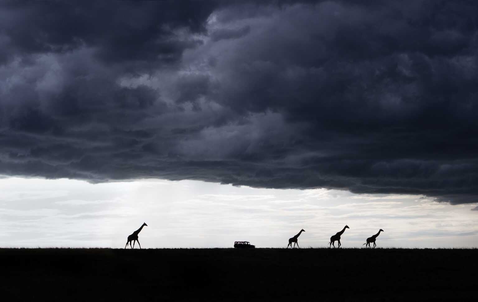 PRIVATE SAFARIS