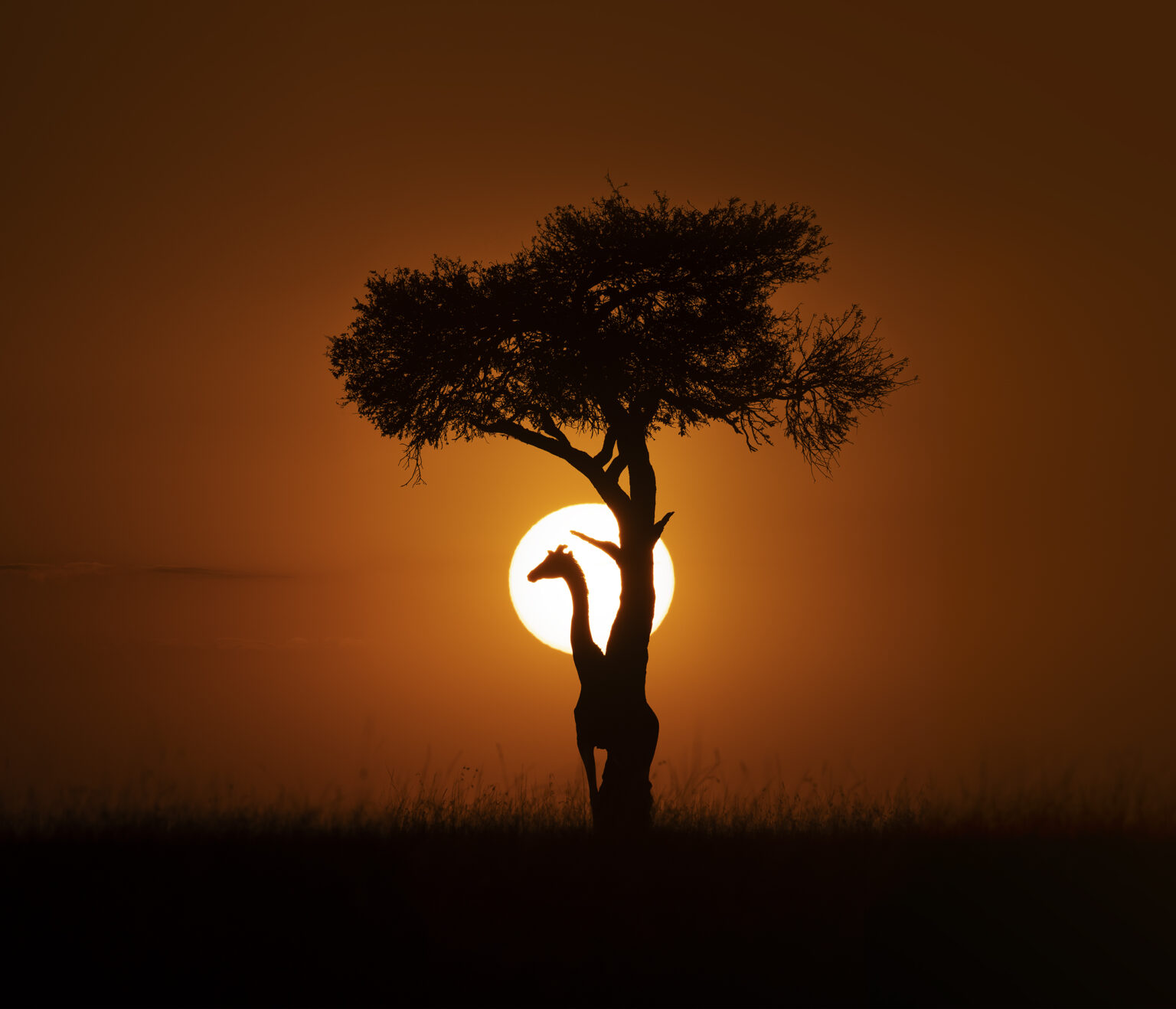 KENYA UNFORGETTABLE- Masai Mara
