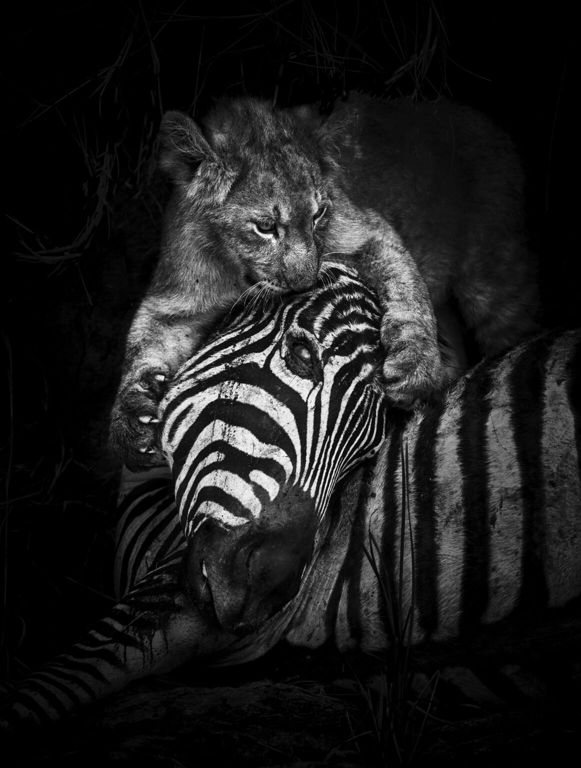 PRIVATE SAFARIS