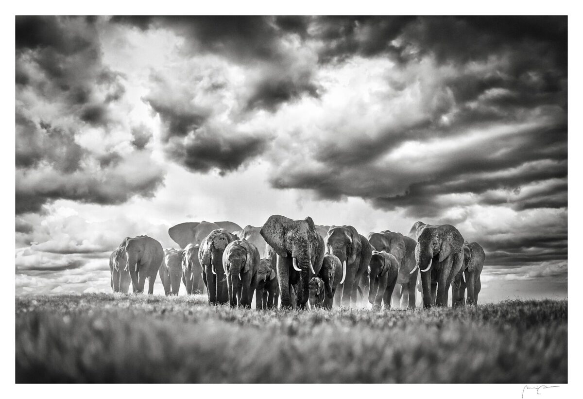 WALK OF GIANTS