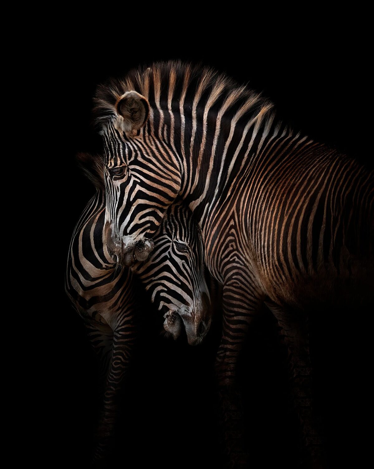 NEARNESS