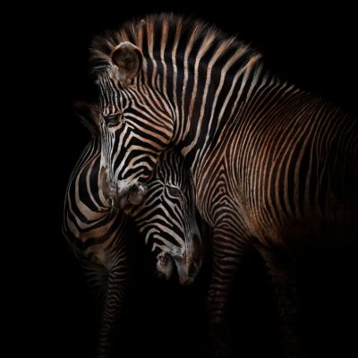 NEARNESS