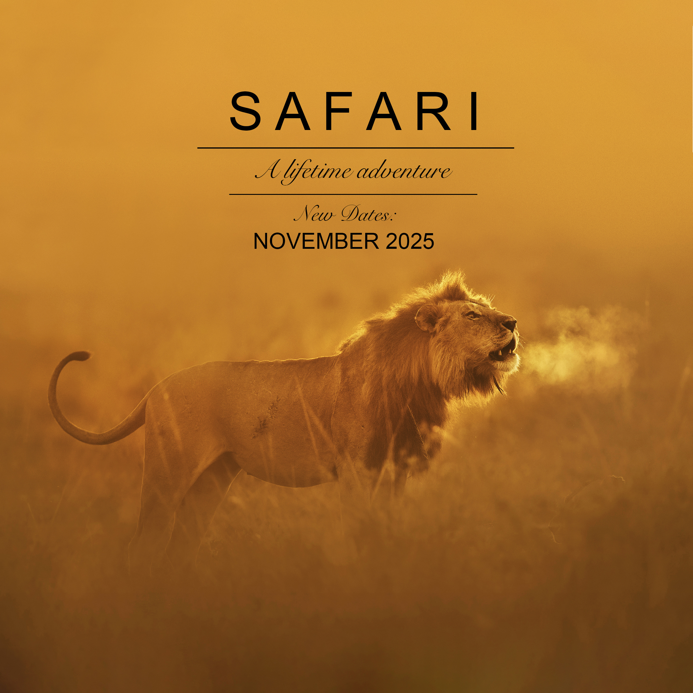 Workshops & Tours 8 KENYA: Amboseli & Masai Mara
