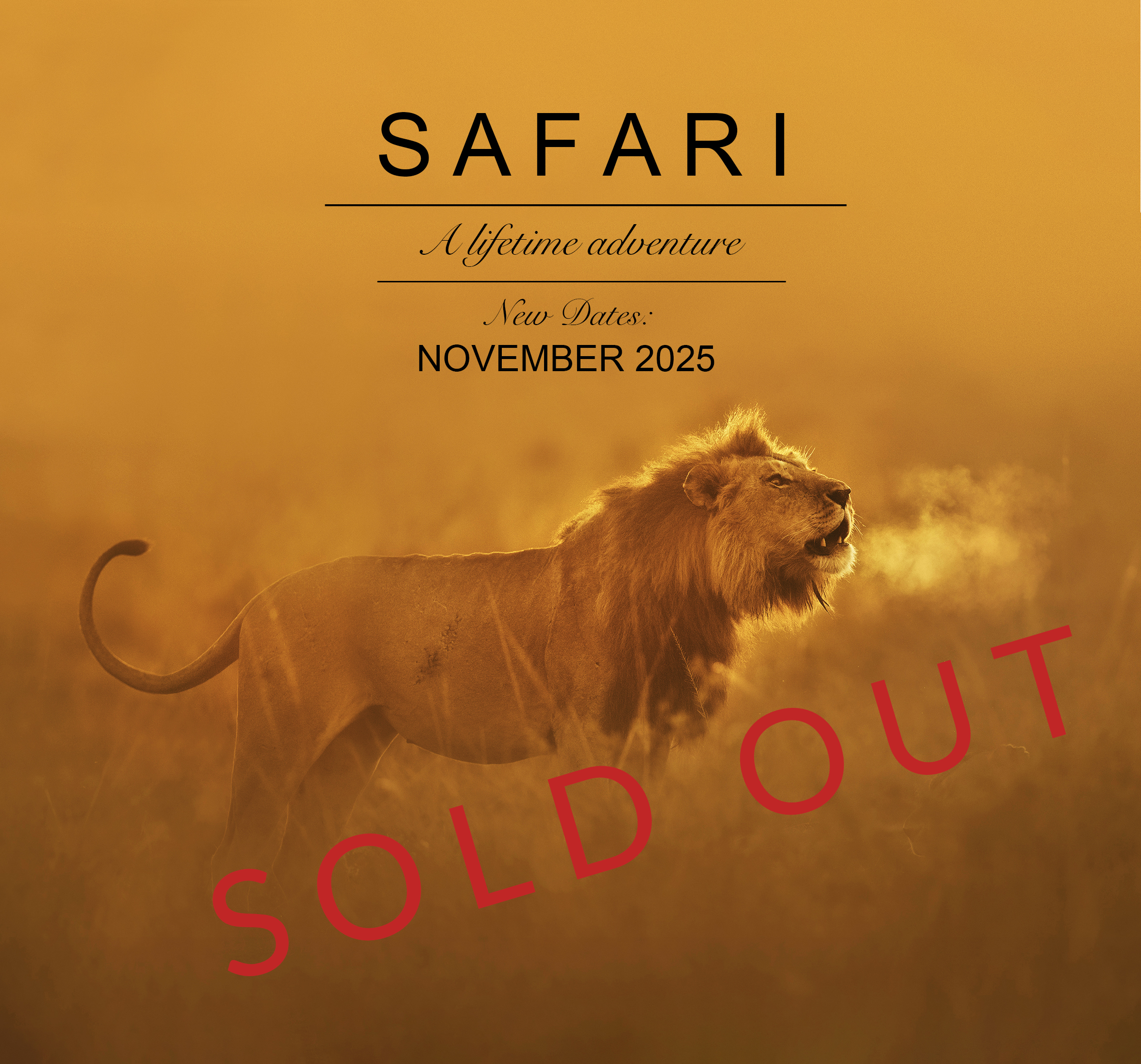 KENIA INOLVIDABLE- Amboseli & Masai Mara