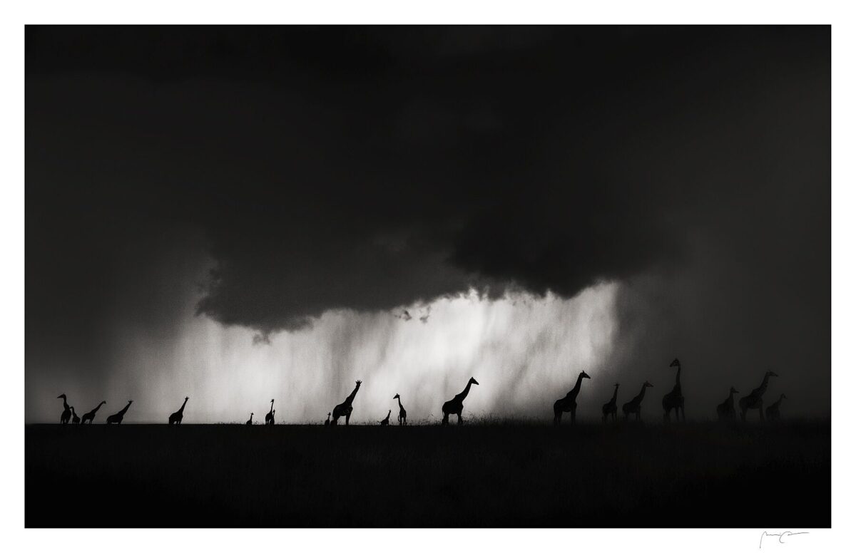 GIANTS IN THE SILENT STORM