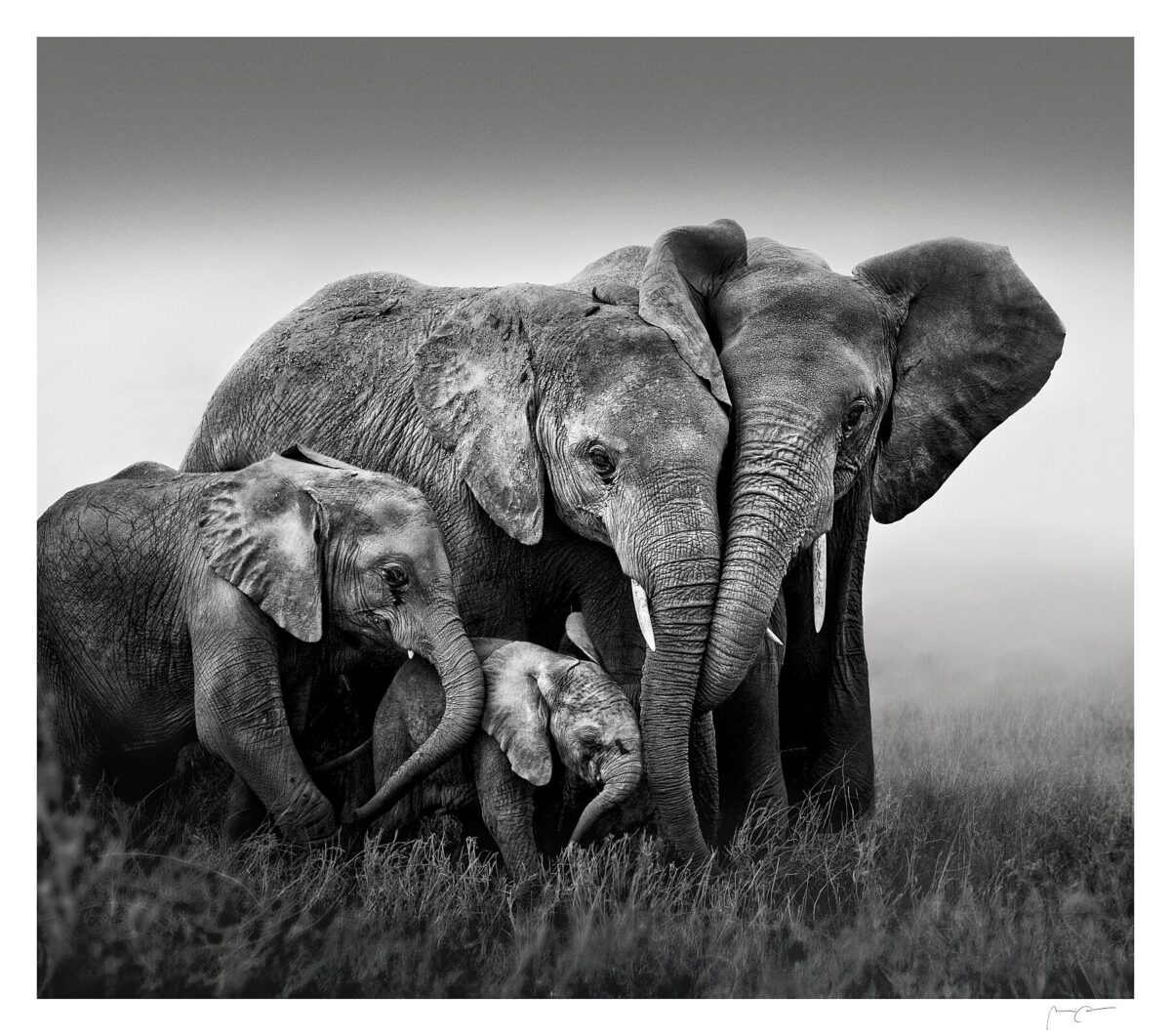 LA FORMA ANTIGUA DEL AMOR